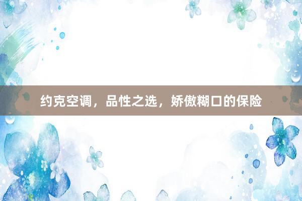 约克空调，品性之选，娇傲糊口的保险
