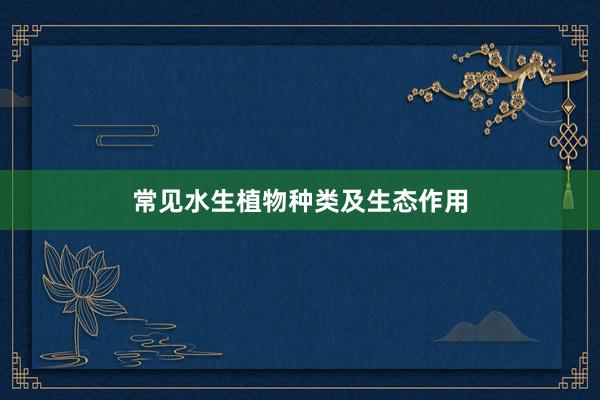 常见水生植物种类及生态作用